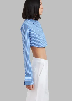 Phoenix Cropped Shirt