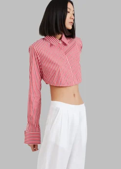 Phoenix Cropped Shirt