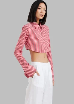 Phoenix Cropped Shirt