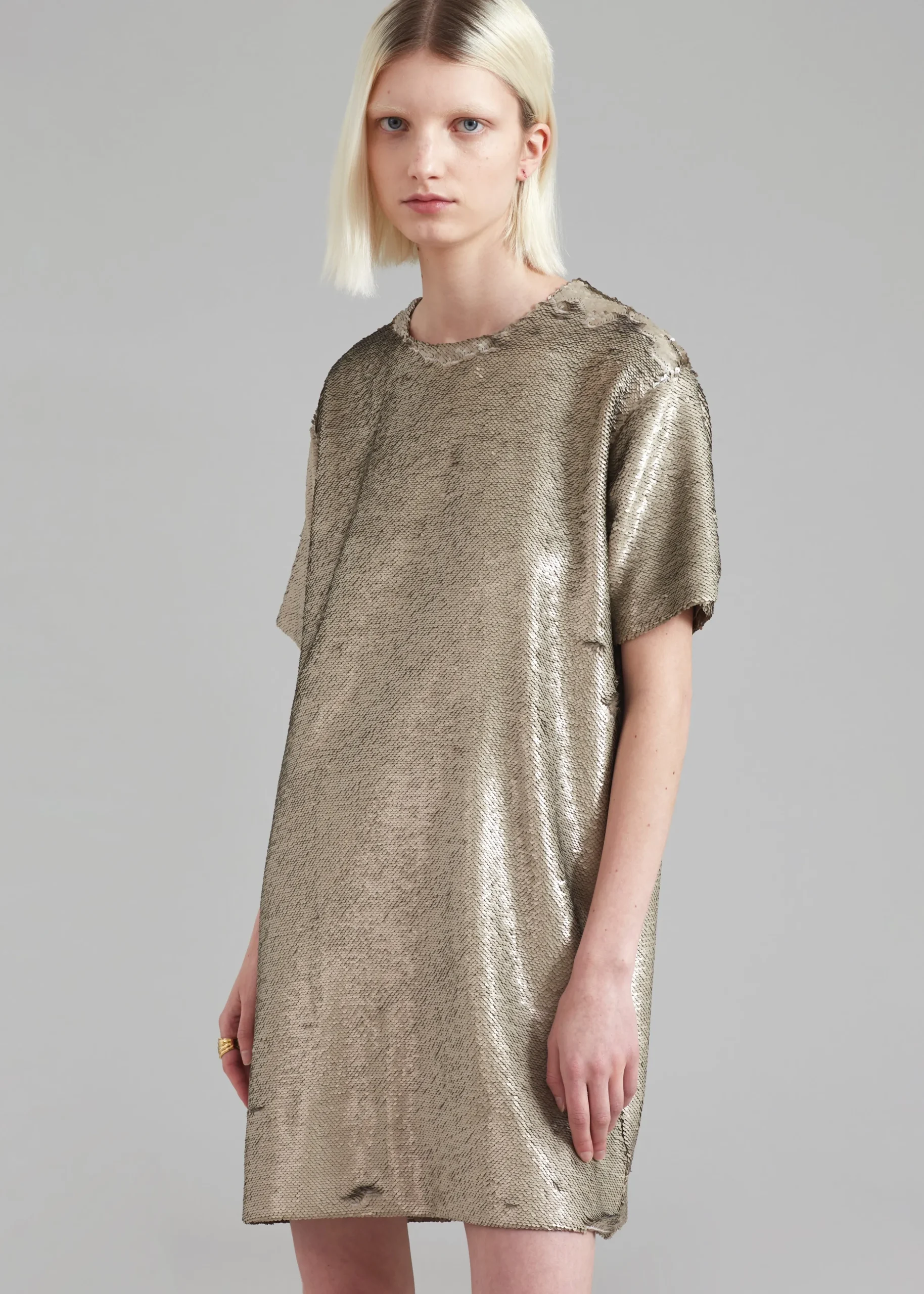 Riley Sequins Tee Mini Dress
