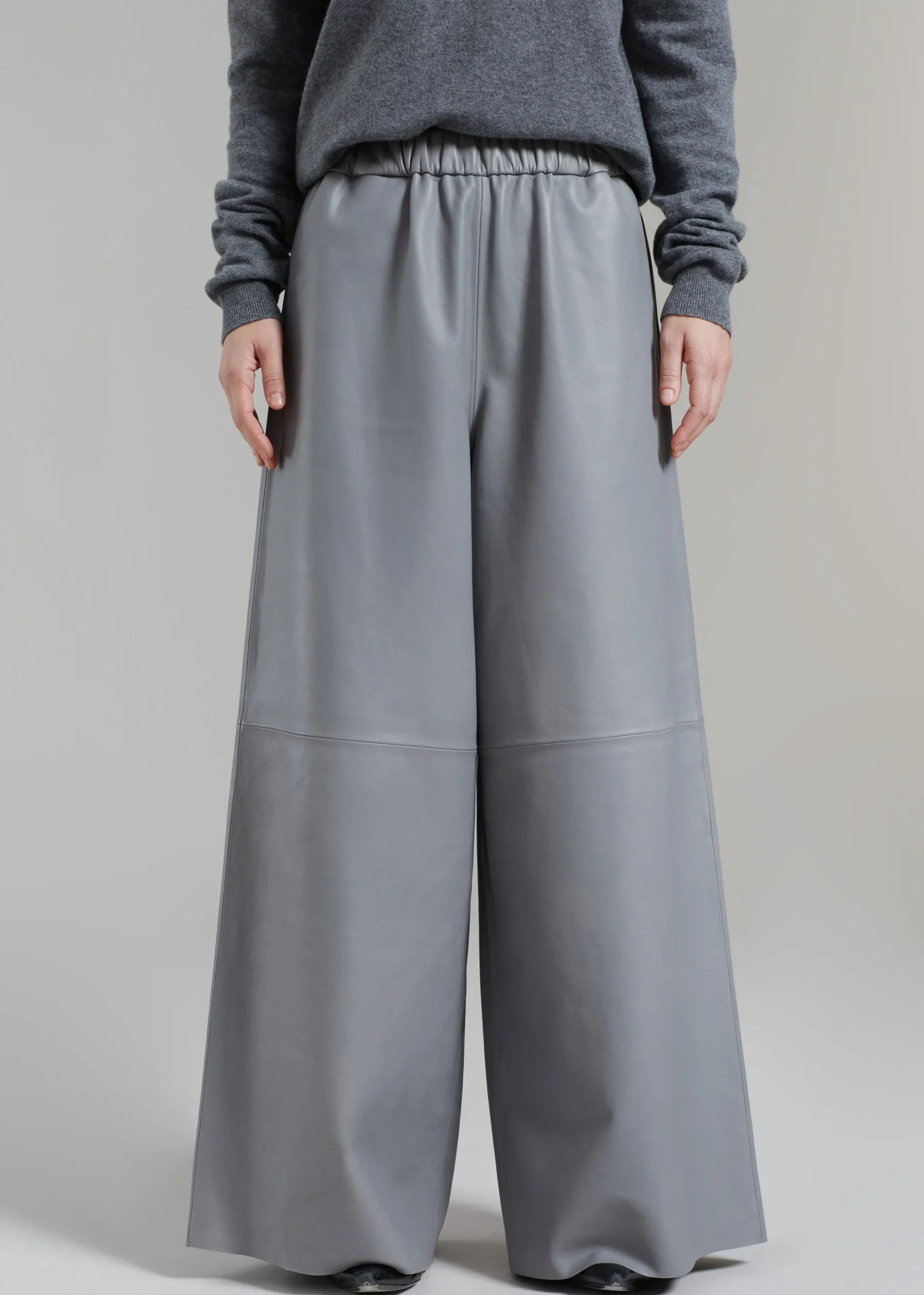 Sydney Wide Leather Pants