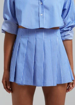 Venus Pleated Skirt